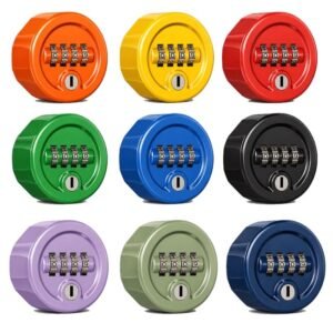 Dom Ronis Picto P4 mechanical 4 dial combination lock. made in any ral colour